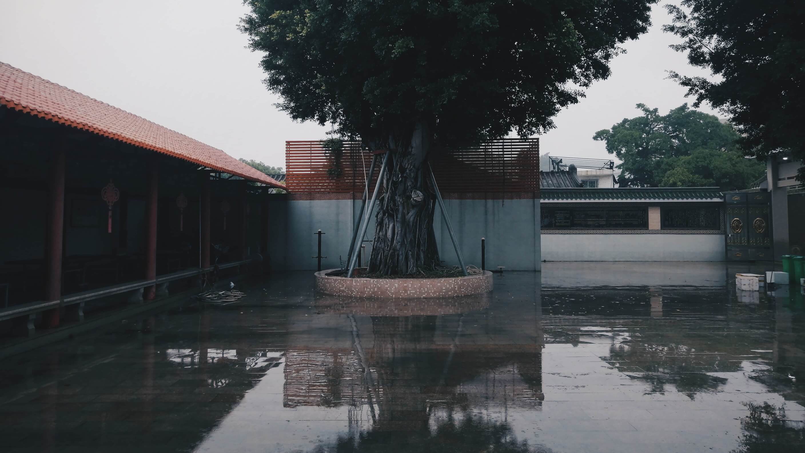 下雨了